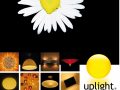 uplight-03